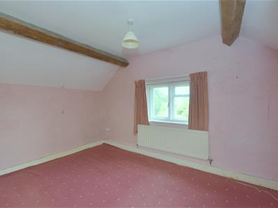 Picture 16
